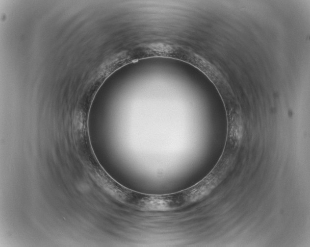 X0000087700518200705041106