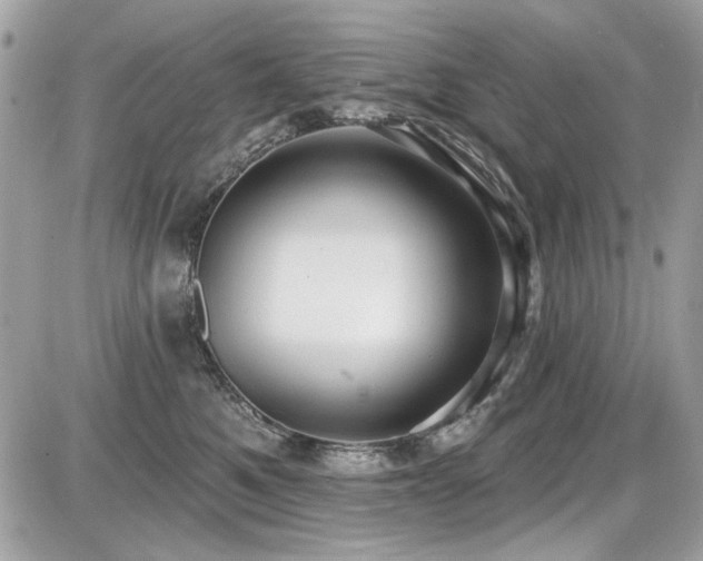 X0000087700521200705041106