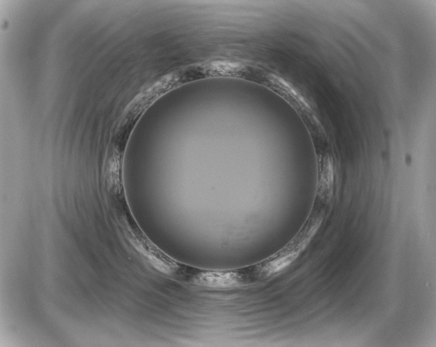 X0000087700526200705041106