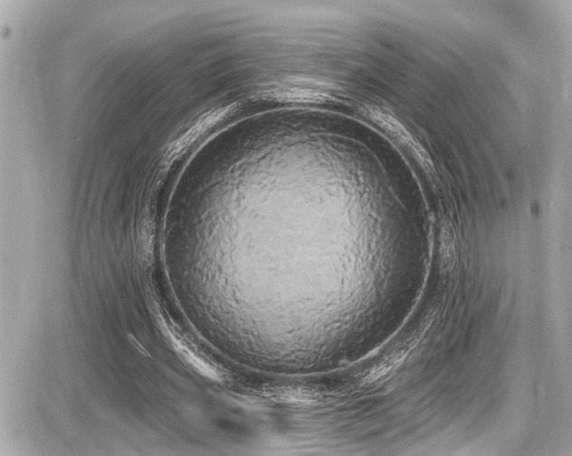 X0000087700533200705041105