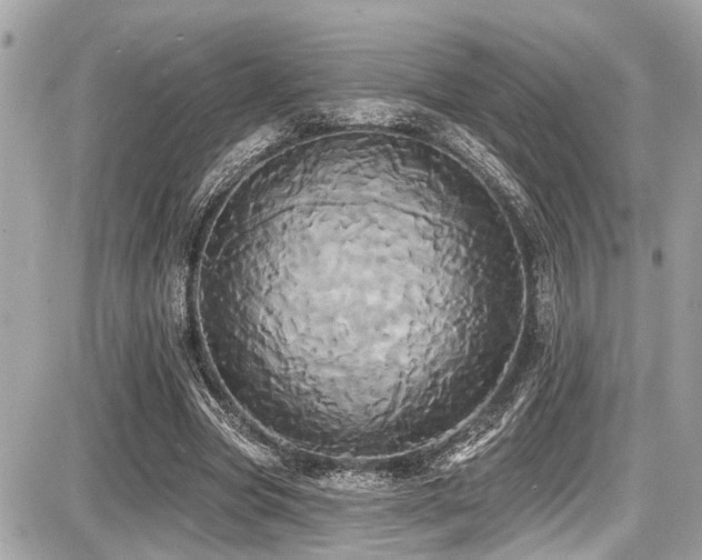 X0000087700537200705041105