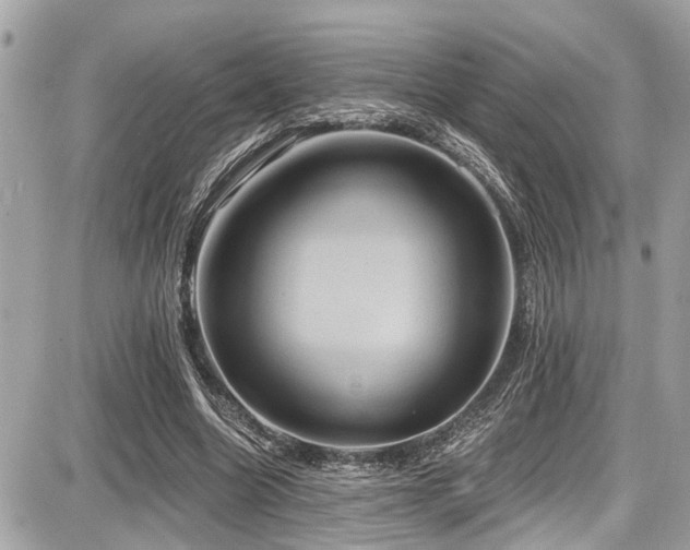 X0000087700538200705041105