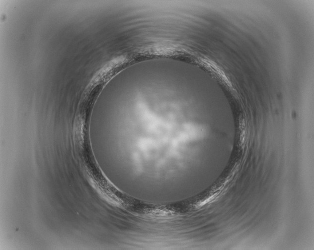 X0000087700542200705041105