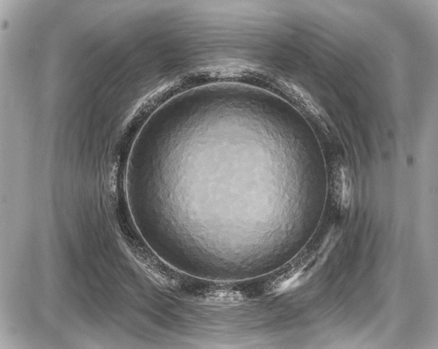 X0000087700543200705041105