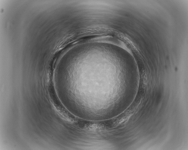 X0000087700546200705041105