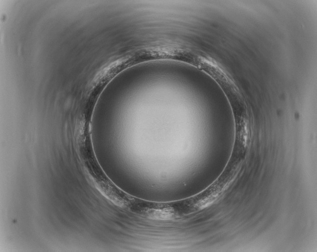 X0000087700548200705041105