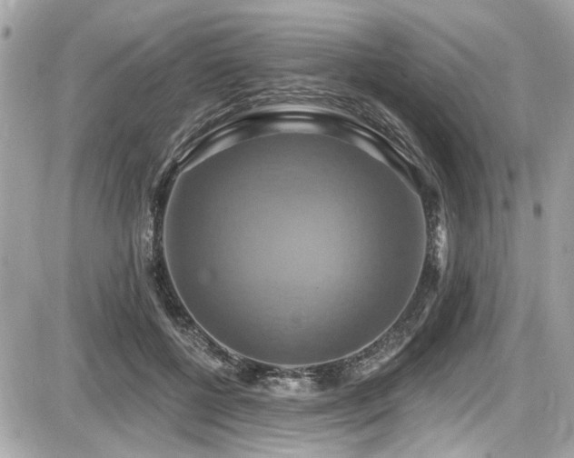 X0000087700552200705041105