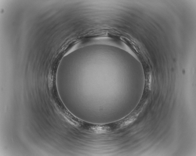 X0000087700558200705041106