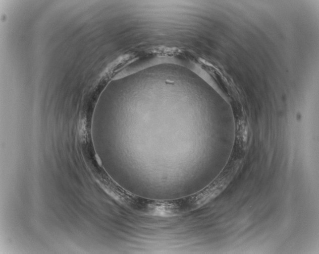 X0000087700564200705041106