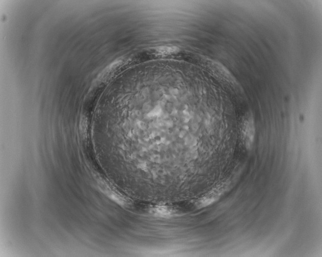 X0000087700565200705041106