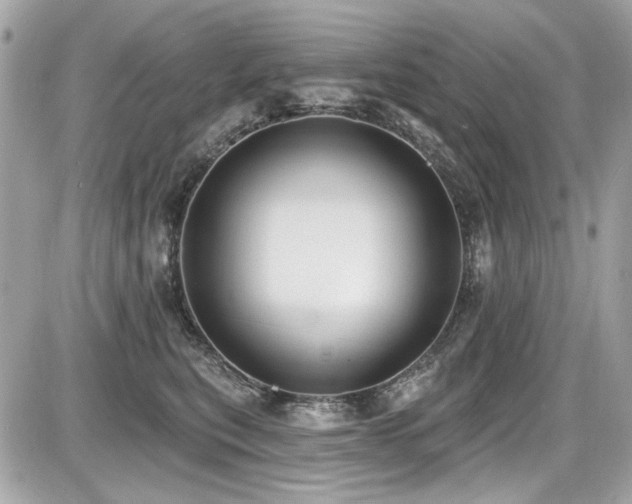 X0000087700567200705041106