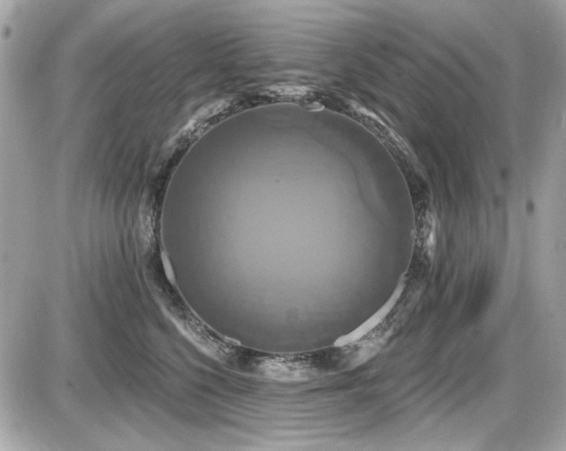 X0000087700568200705041106