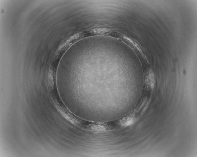X0000087700572200705041106