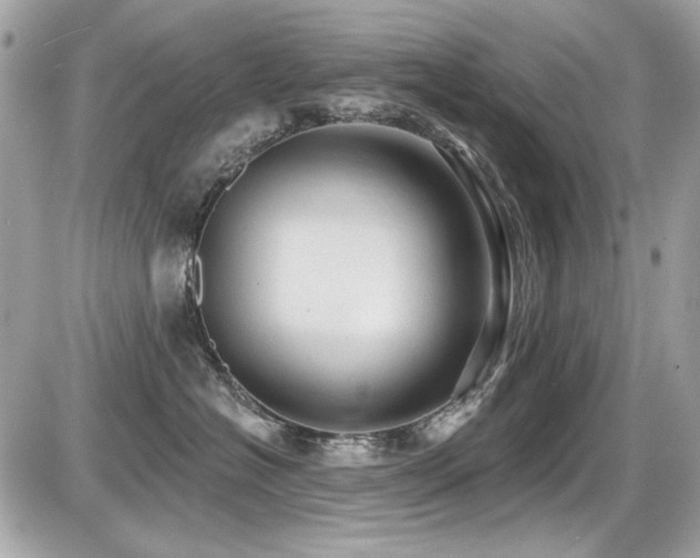 X0000087700574200705041106