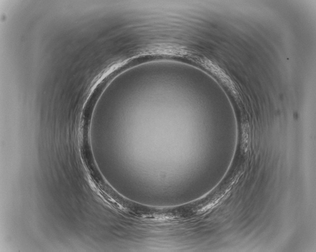 X0000087700580200705041105