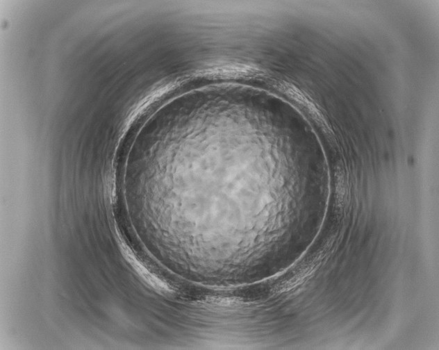 X0000087700582200705041105