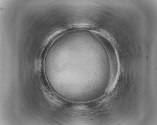 X0000087700583200705041105