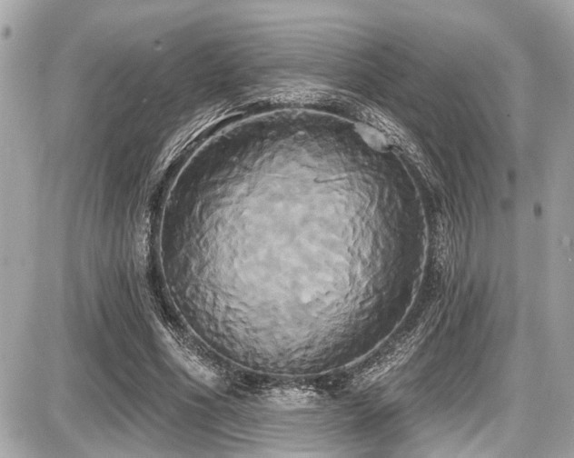 X0000087700586200705041105