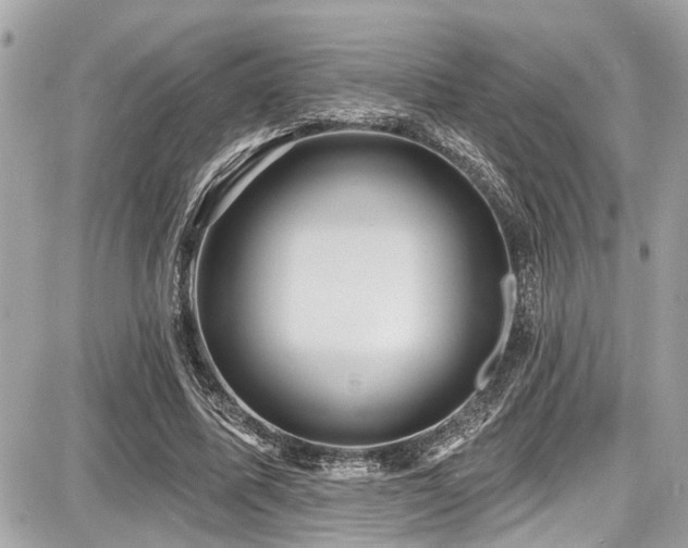 X0000087700587200705041105