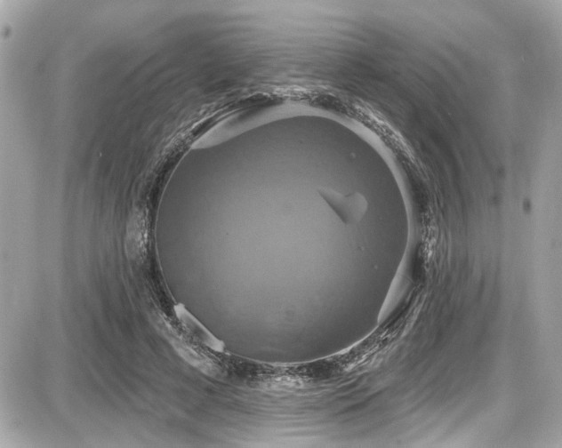 X0000087700593200705041105
