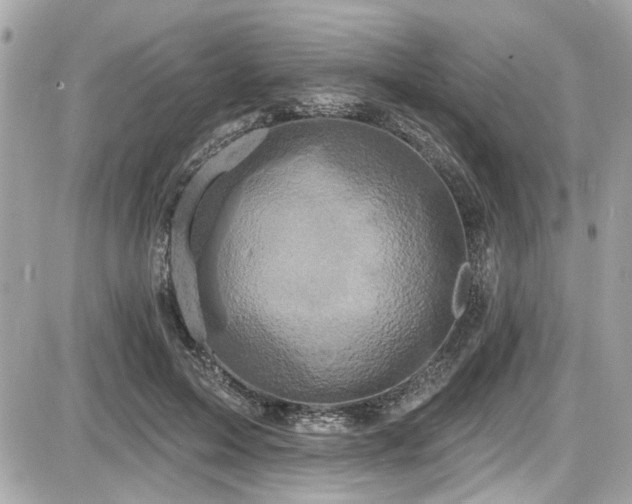 X0000087700599200705041105
