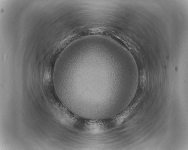 X0000087700608200705041105