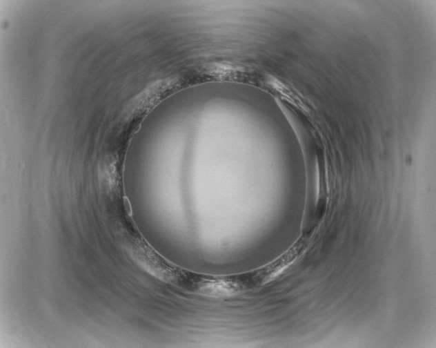 X0000087700611200705041105