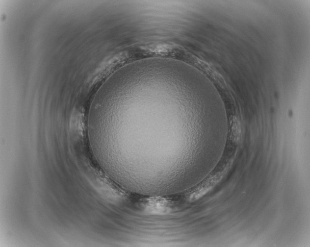 X0000087700612200705041105