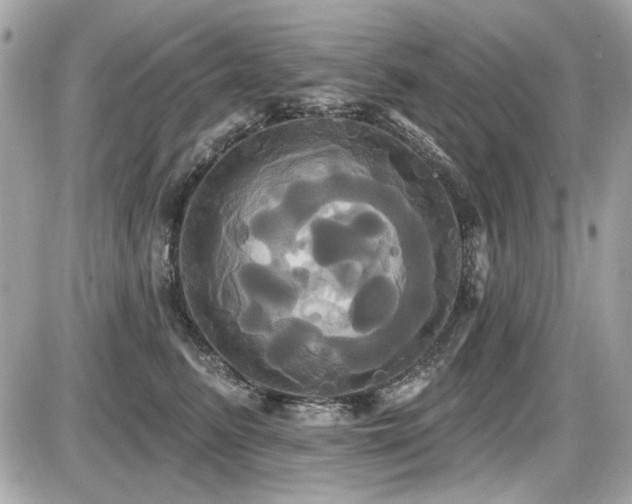 X0000087700615200705041104
