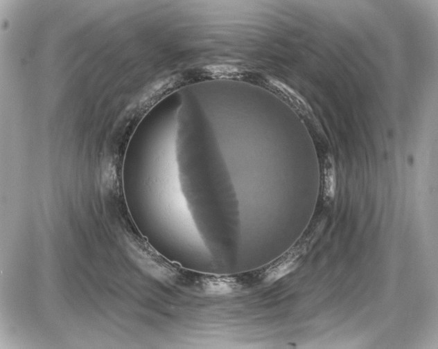 X0000087700618200705041104