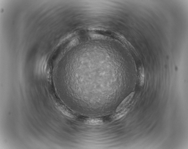 X0000087700619200705041104