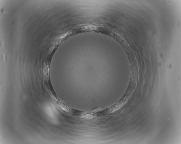X0000087700624200705041104