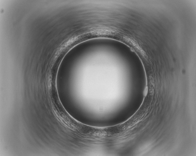 X0000087700631200705041104