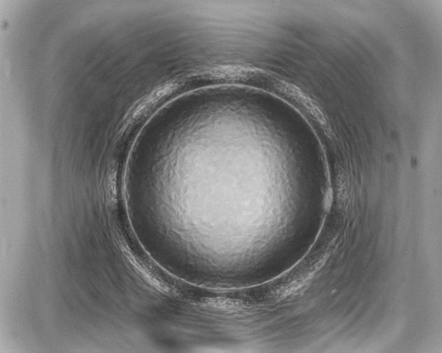 X0000087700633200705041104