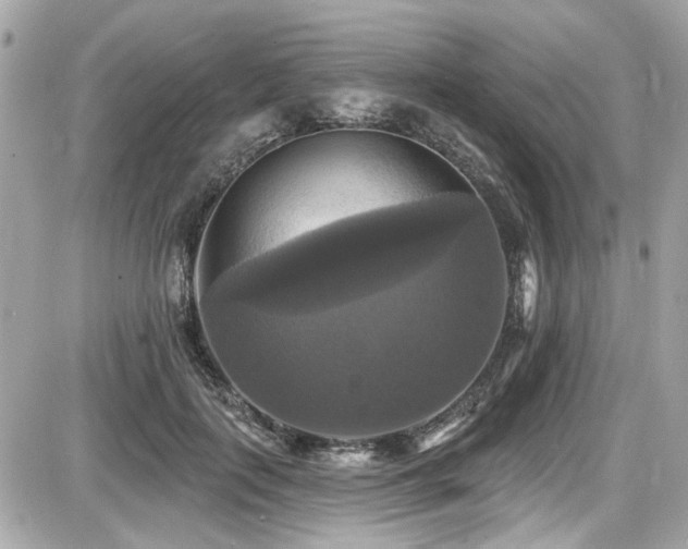X0000087700651200705041104