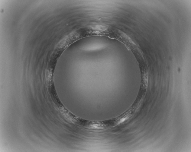X0000087700657200705041104