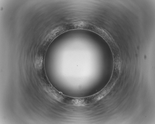 X0000087700660200705041104