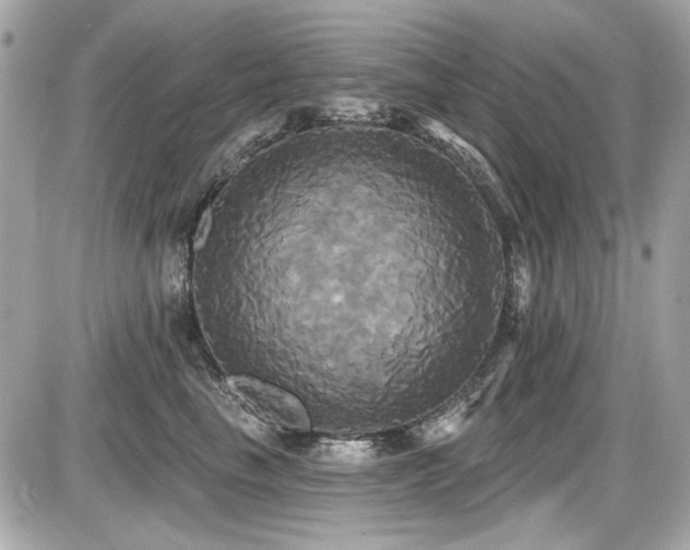 X0000087700665200705041104
