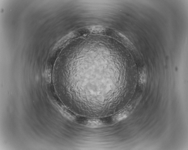 X0000087700666200705041104