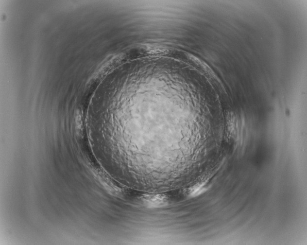 X0000087700667200705041104