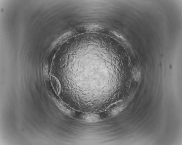 X0000087700670200705041104