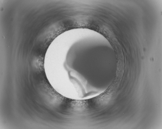 X0000087700672200705041104