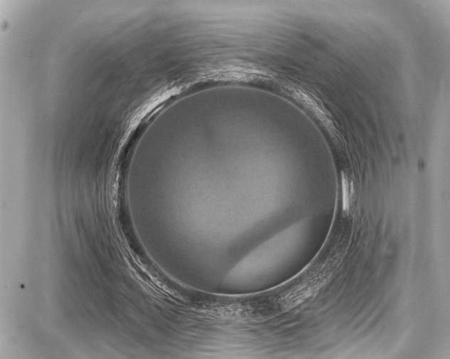 X0000087700675200705041103