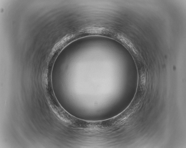 X0000087700682200705041103