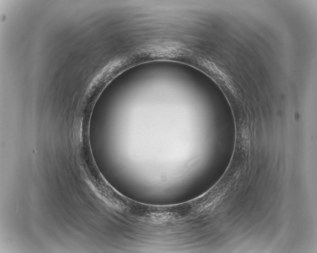 X0000087700686200705041103