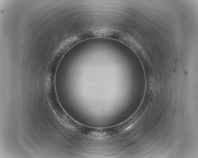 X0000087700690200705041103