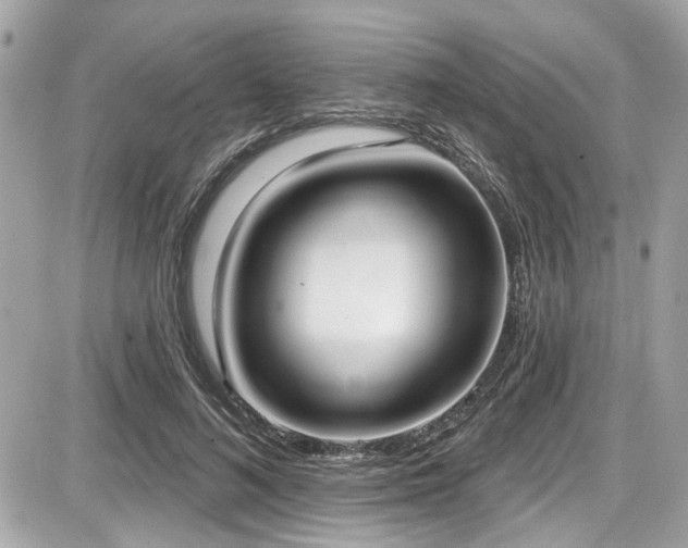 X0000087700692200705041103