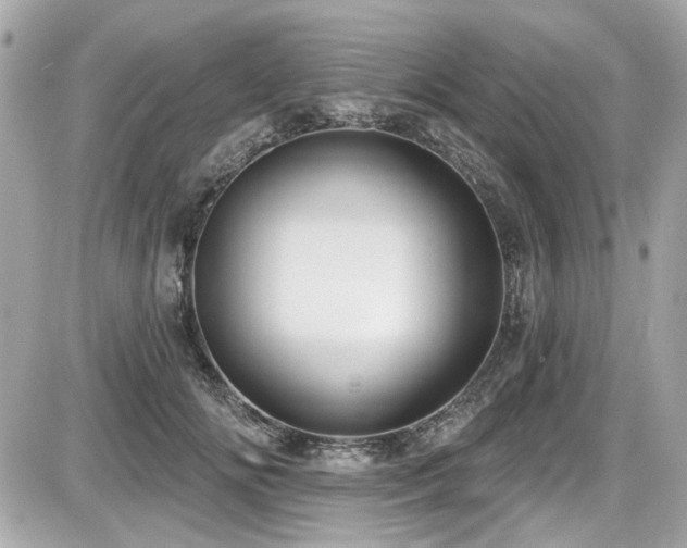 X0000087700702200705041103