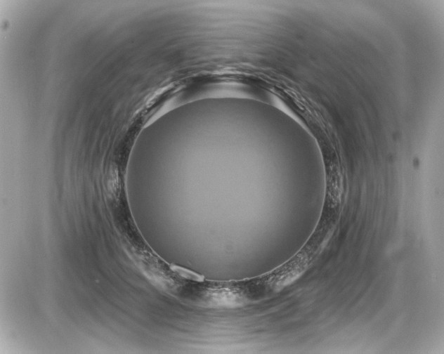 X0000087700704200705041103