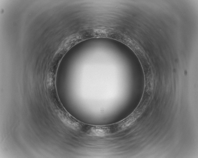 X0000087700706200705041103